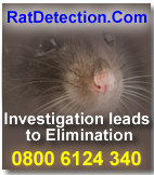 rat control problem